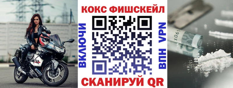 Купить закладки  Полярные Зори  COCAIN FishScale 